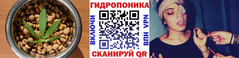 Купить  Родники  Canna-Cookies марихуана 