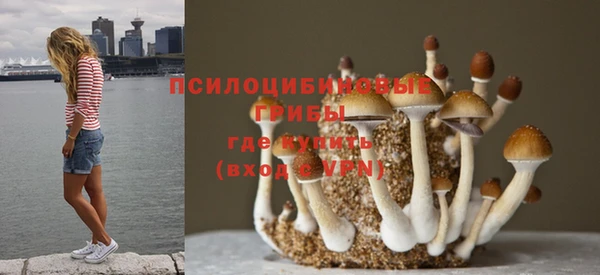 индика Кодинск