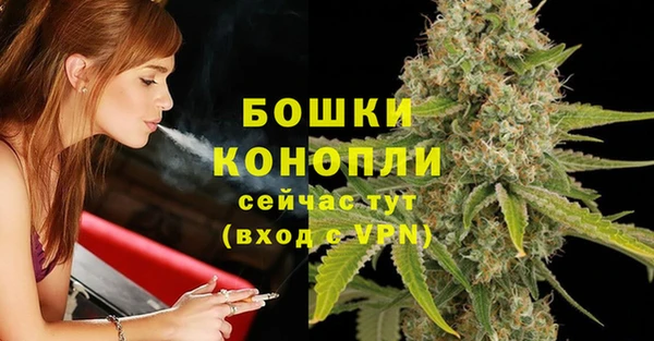 spice Кинешма