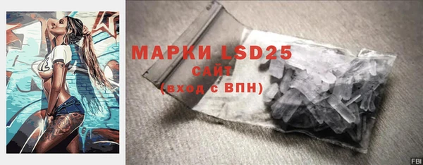 прущие грибы Киреевск