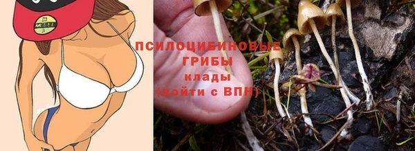 spice Кинешма