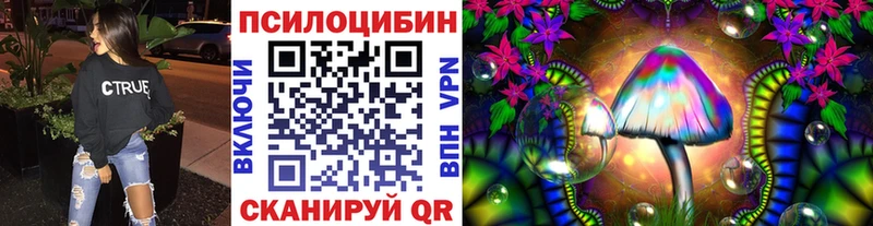Купить где  Родники  Псилоцибиновые грибы Psilocybine cubensis 